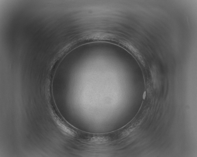 X0000074260445200609011347