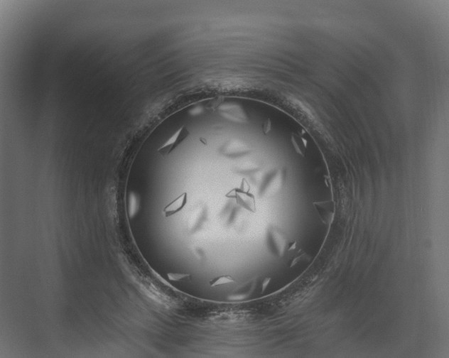 X0000074260447200609011347