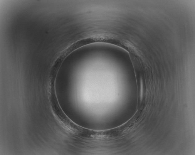 X0000074260448200609011347