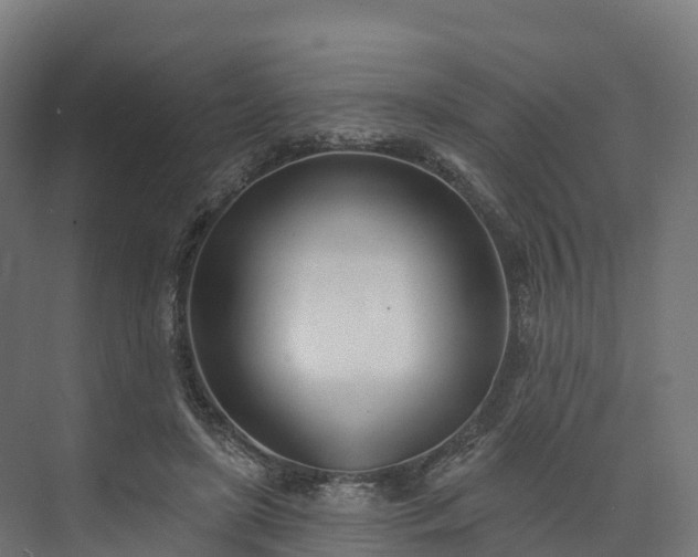 X0000074260451200609011347