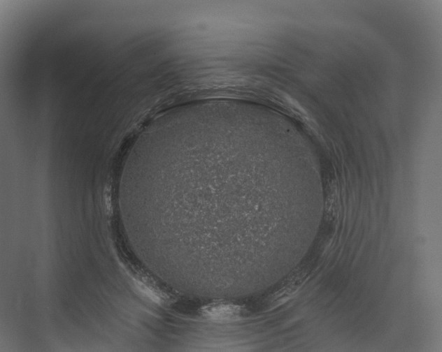 X0000074260452200609011347