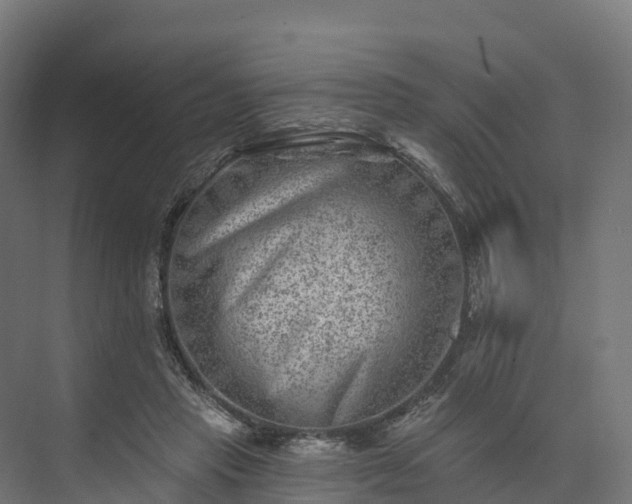 X0000074260453200609011347