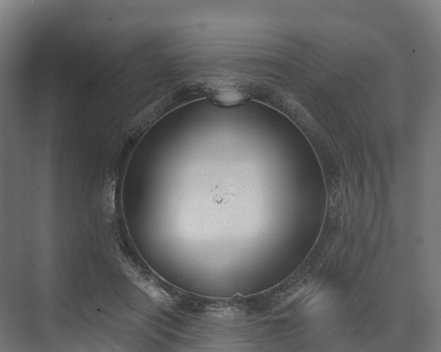 X0000074260454200609011347