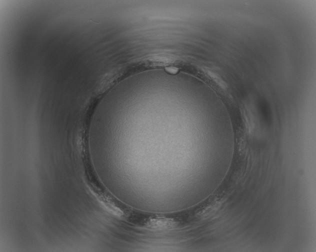 X0000074260455200609011347