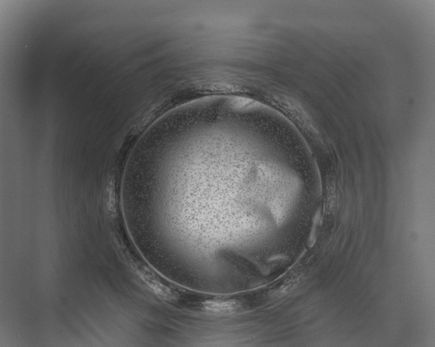 X0000074260457200609011347