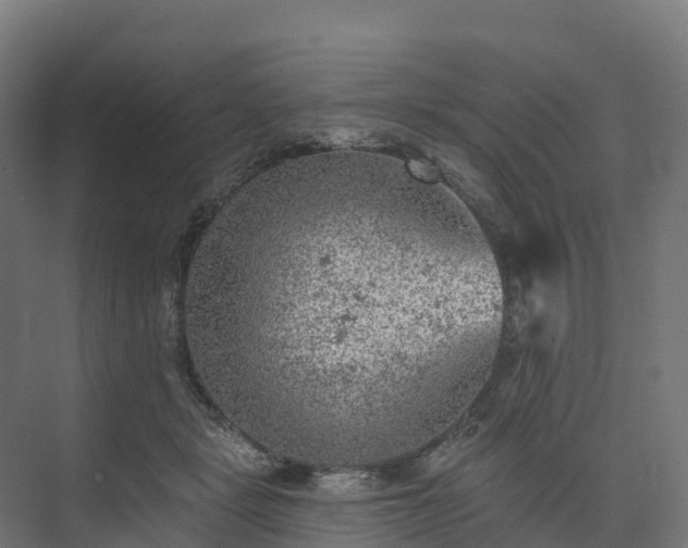 X0000074260461200609011347