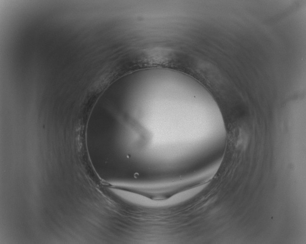 X0000074260462200609011347