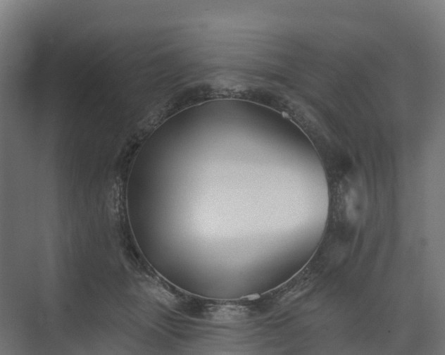 X0000074260463200609011347