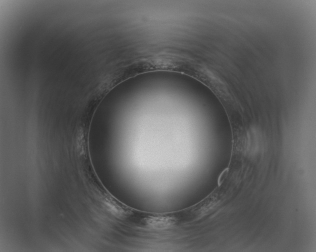 X0000074260465200609011347