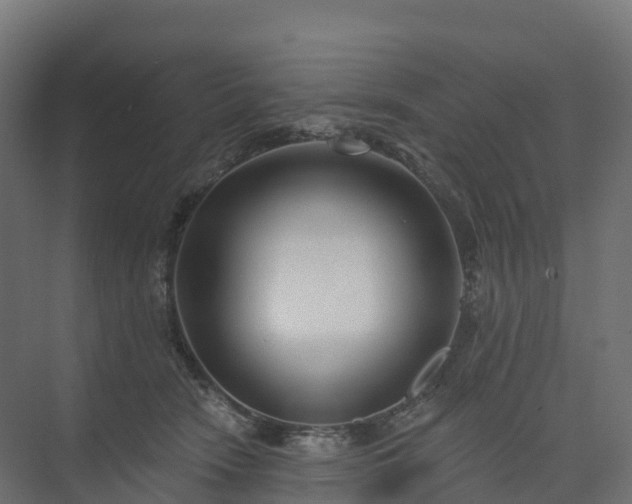 X0000074260466200609011347