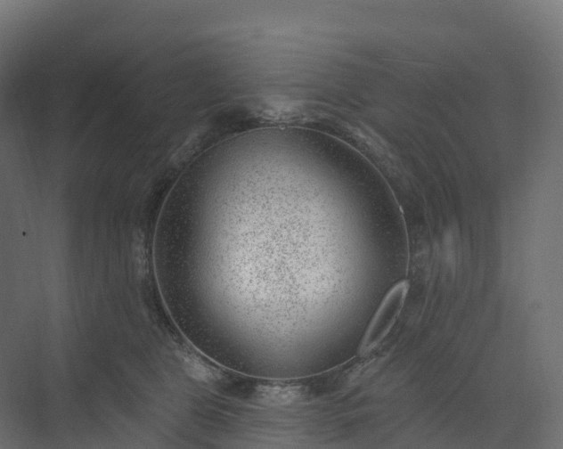 X0000074260469200609011347