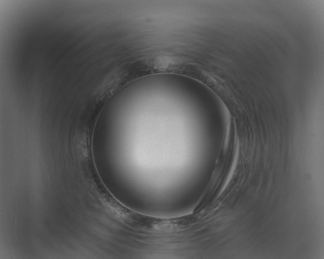 X0000074260470200609011347