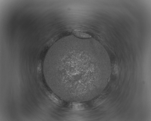 X0000074260472200609011347