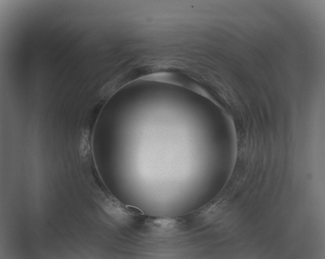 X0000074260478200609011347