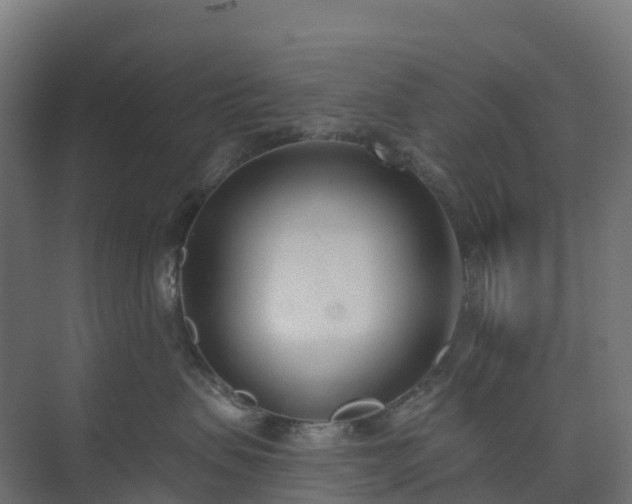 X0000074260479200609011347