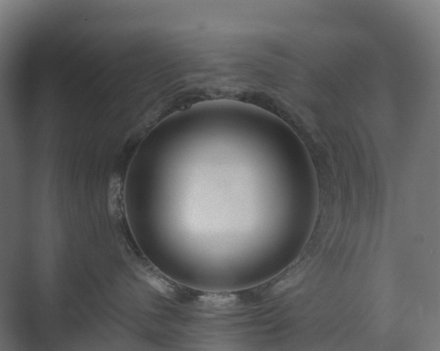 X0000074260480200609011347