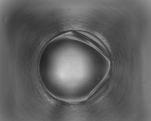 X0000074260481200609011347