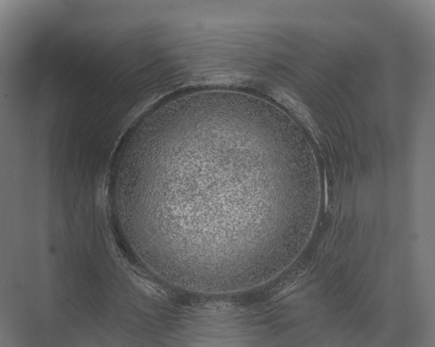 X0000074260483200609011347