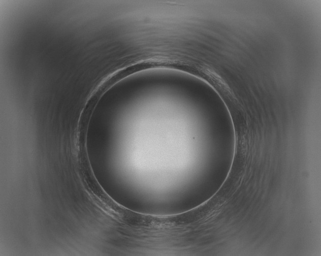 X0000074260484200609011346