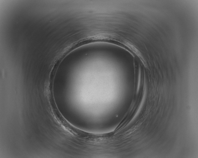 X0000074260485200609011346