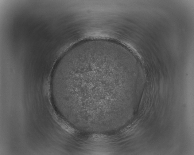 X0000074260487200609011346