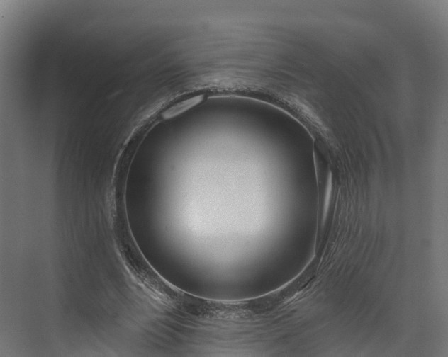 X0000074260488200609011346