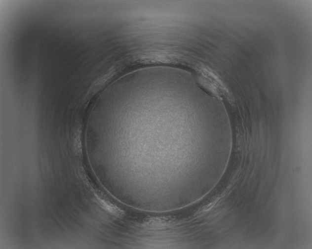 X0000074260489200609011346