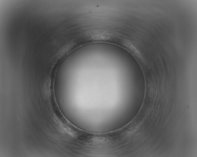 X0000074260490200609011346