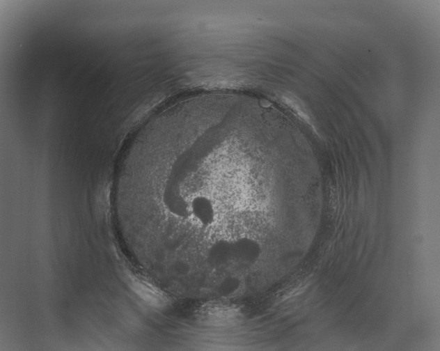 X0000074260491200609011346