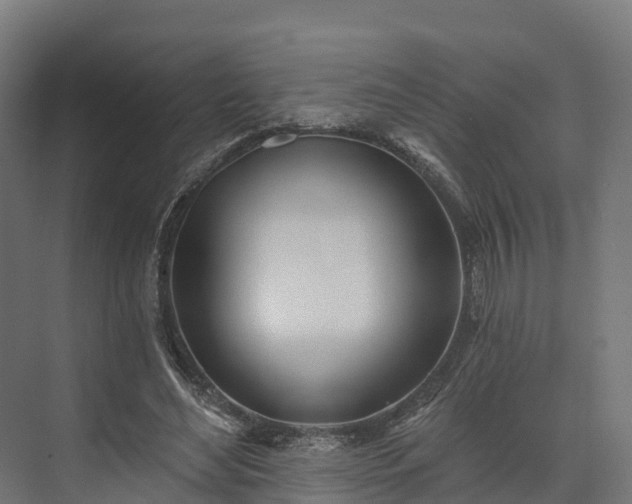 X0000074260492200609011346