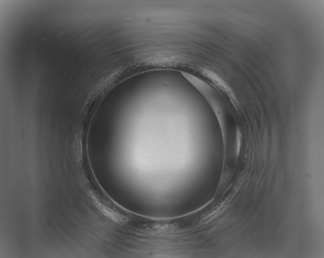 X0000074260493200609011346