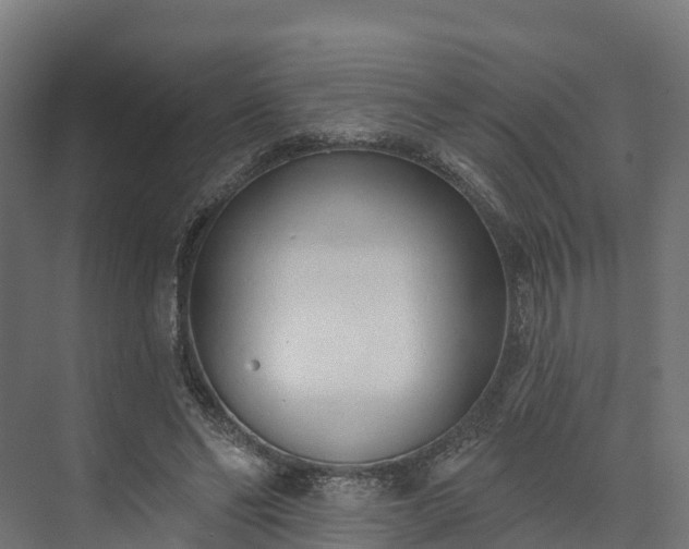 X0000074260494200609011346