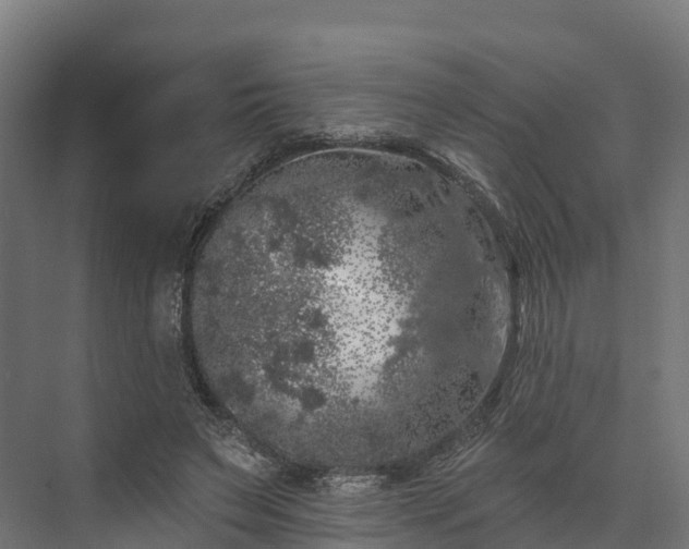 X0000074260495200609011346