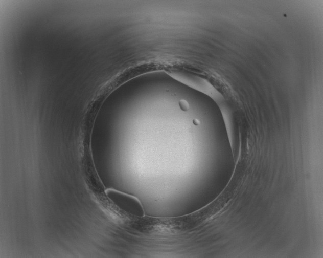 X0000074260496200609011346