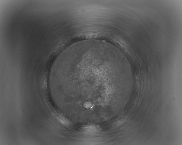 X0000074260499200609011346