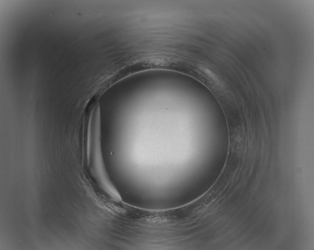 X0000074260500200609011346