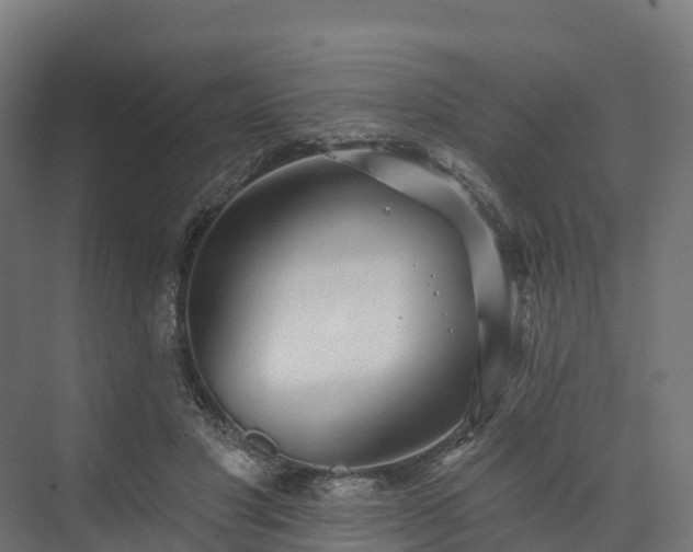 X0000074260501200609011346