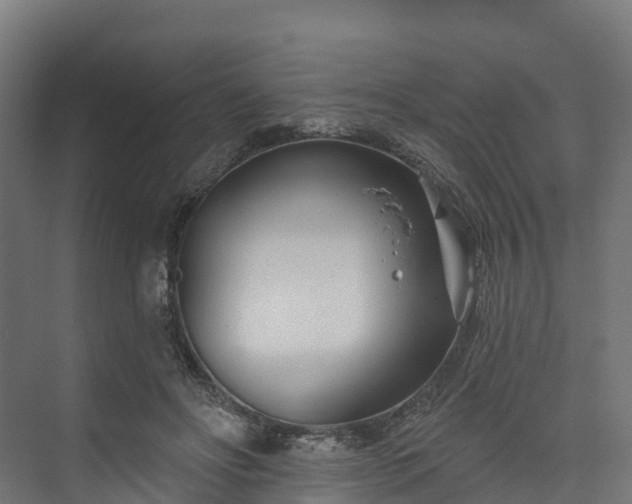 X0000074260502200609011346