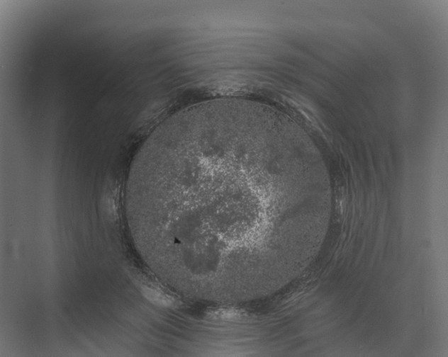 X0000074260503200609011346