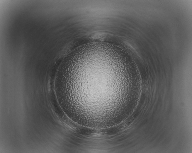 X0000074260504200609011346