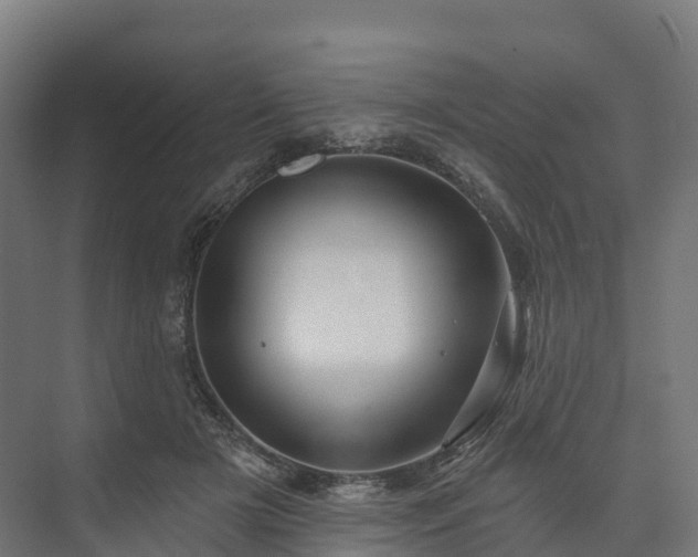 X0000074260505200609011346