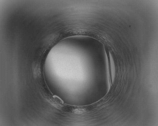 X0000074260508200609011346