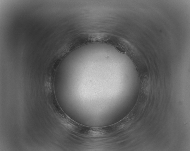 X0000074260510200609011346