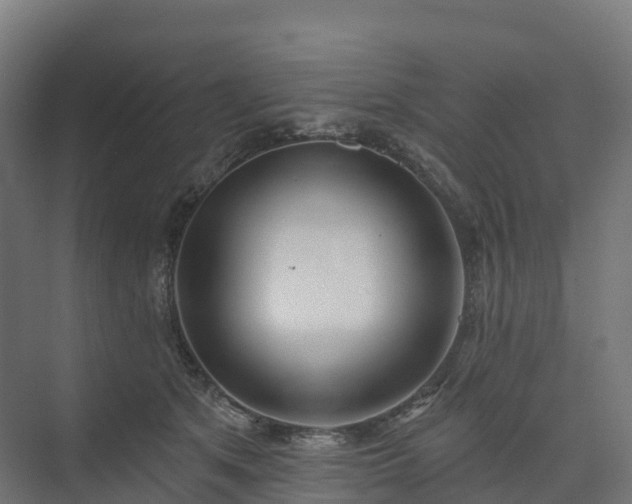 X0000074260513200609011346