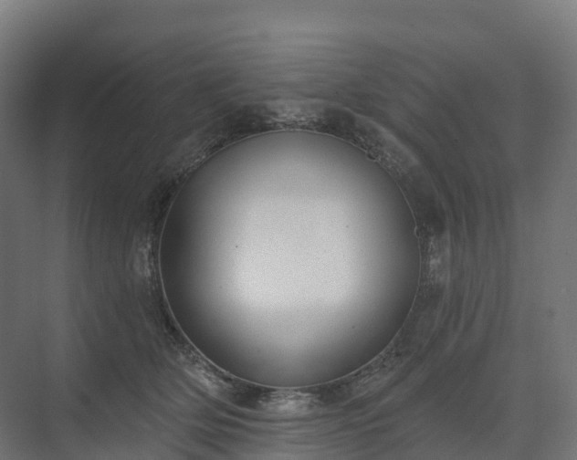 X0000074260514200609011346