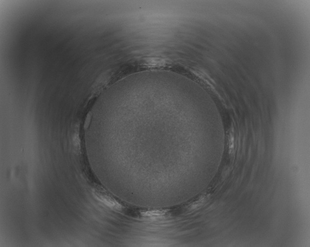 X0000074260516200609011346