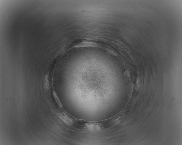 X0000074260520200609011346