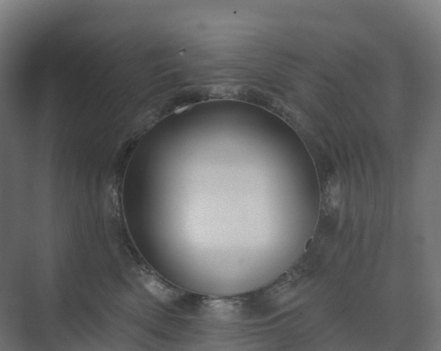 X0000074260522200609011346