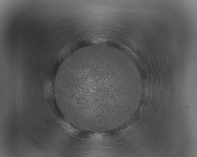 X0000074260523200609011346