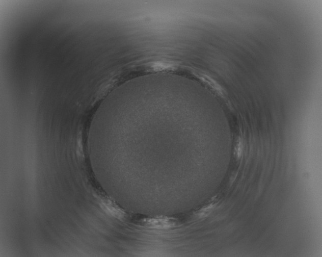 X0000074260524200609011346